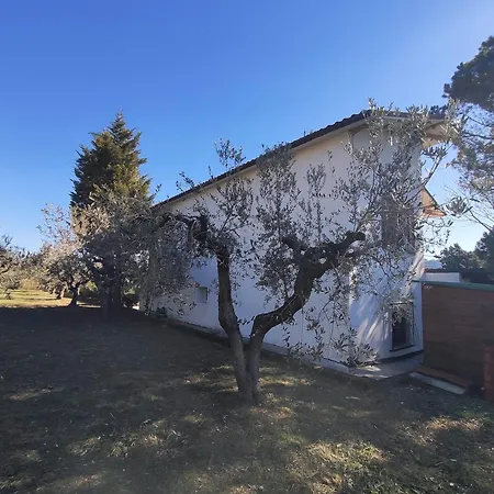 Gart House Holiday home