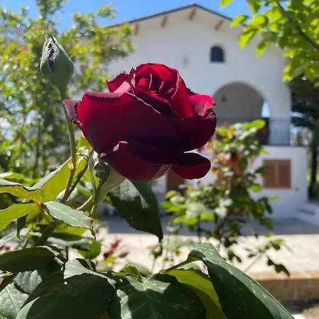 Nyaraló Gart House *