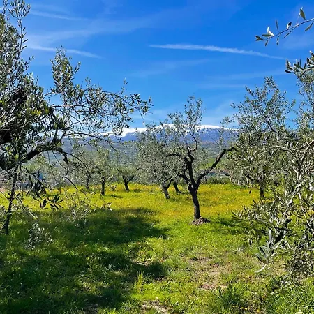 Gart House Casa vacanze Scafa