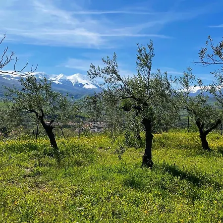 Gart House 度假居 Scafa