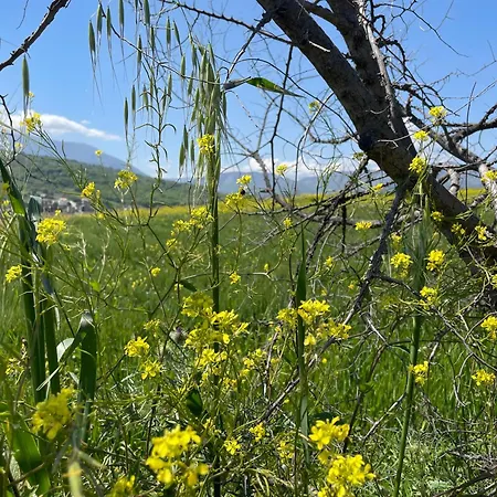 Holiday home Gart House Scafa