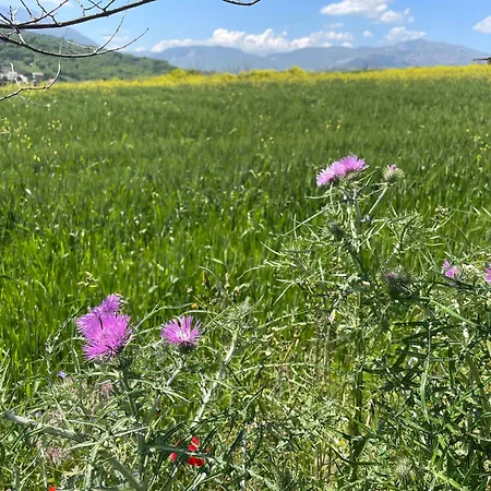 Gart House 度假居