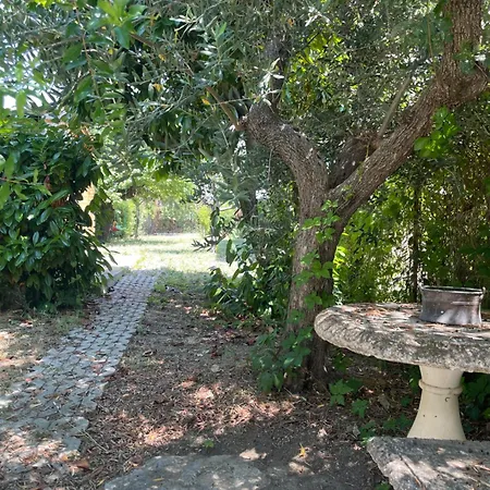 度假居 Gart House *