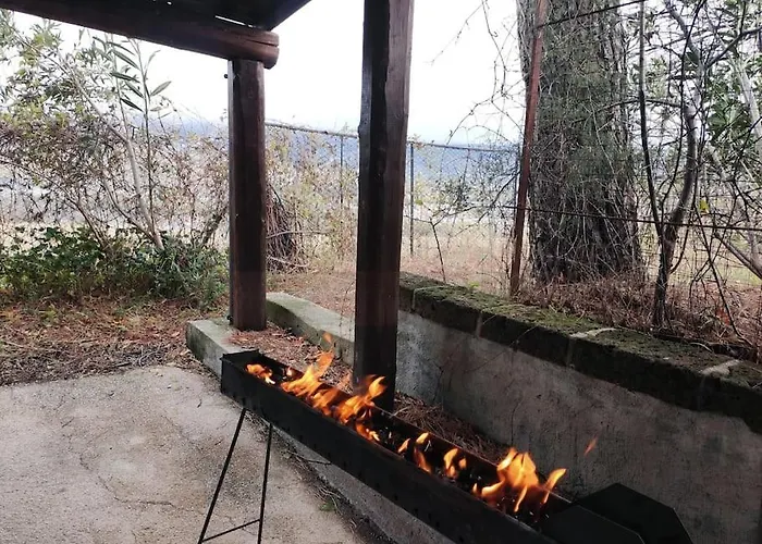 Дом отдыха Gart House Scafa