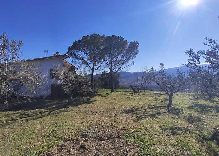 Σπίτι διακοπών Gart House Scafa