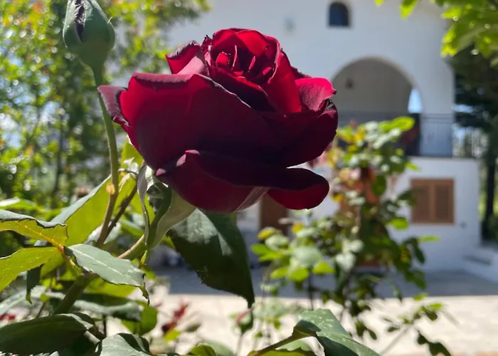 Casa de Férias Gart House *