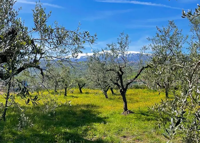 Gart House Дом отдыха Scafa