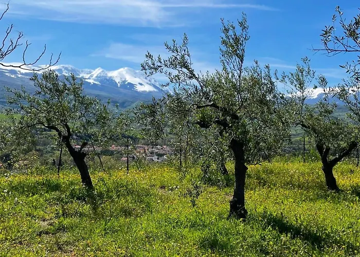 Gart House Дом отдыха Scafa