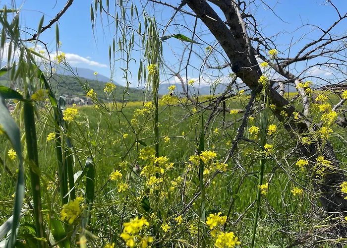 Casa de Férias Gart House Scafa