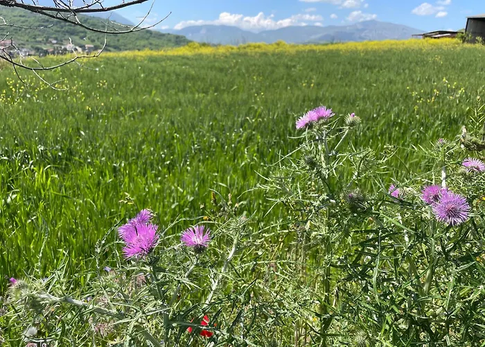 Gart House Дом отдыха