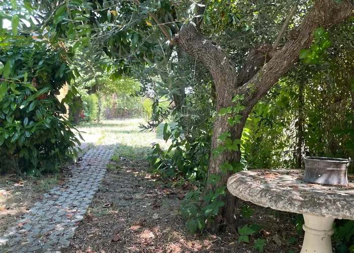 Casa de Férias Gart House *